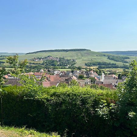 Vila Chez Brigitte Châtillon-sur-Marne Exteriér fotografie