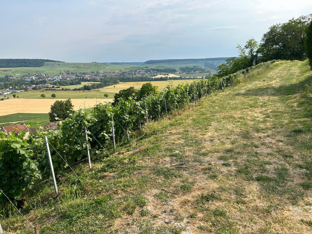 Vila Chez Brigitte Châtillon-sur-Marne Exteriér fotografie