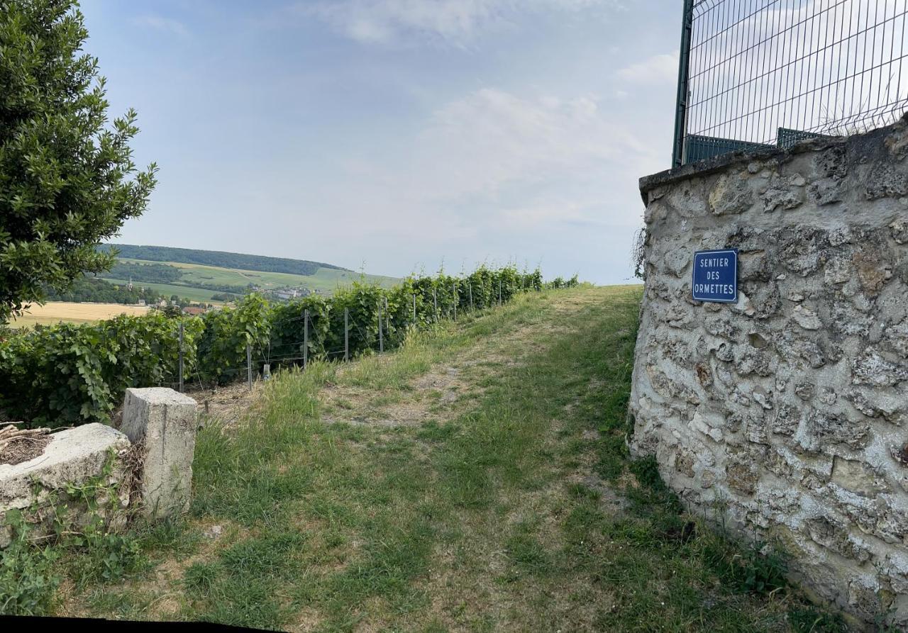 Vila Chez Brigitte Châtillon-sur-Marne Exteriér fotografie