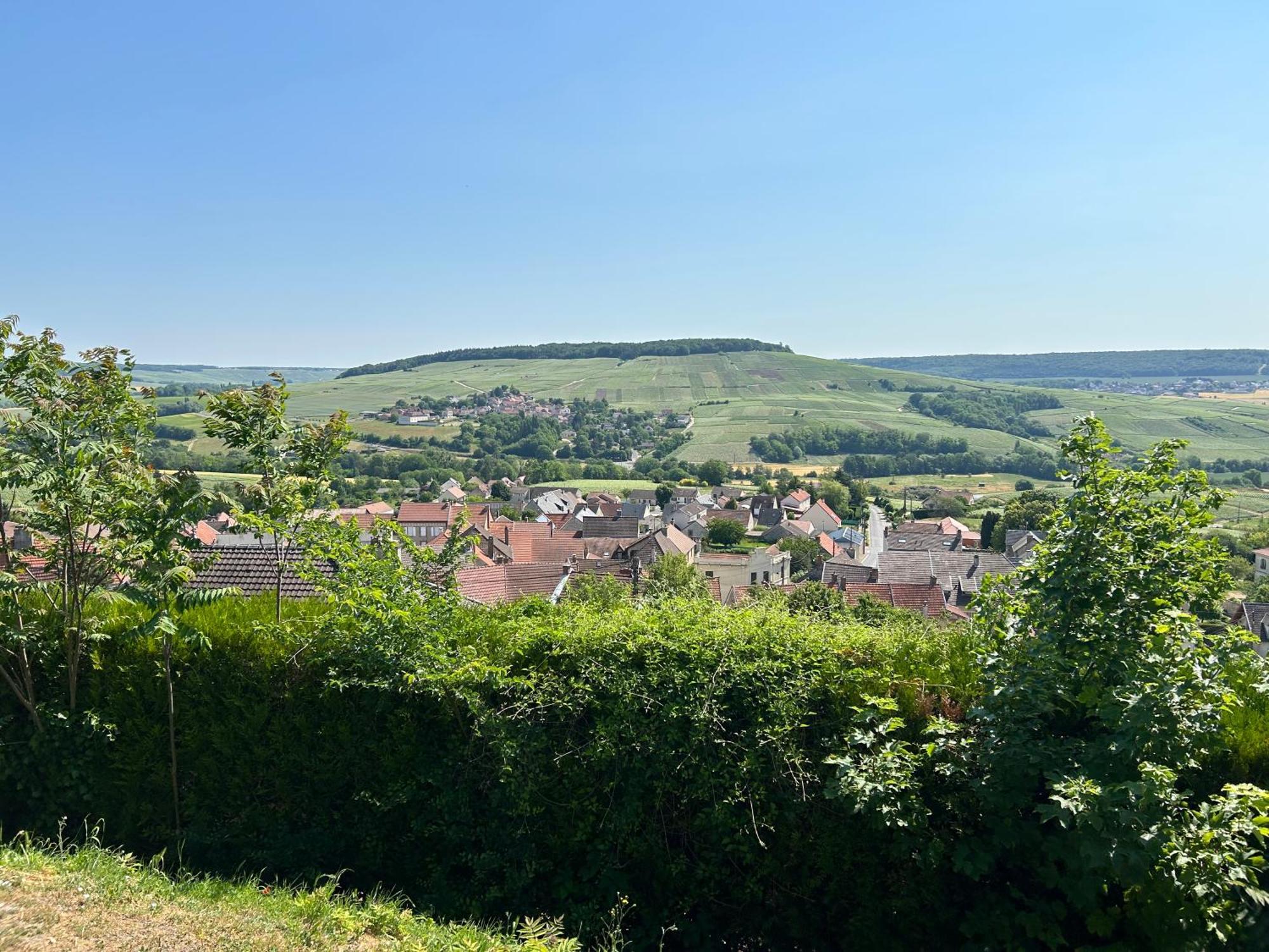 Vila Chez Brigitte Châtillon-sur-Marne Exteriér fotografie
